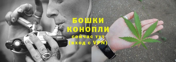 сатива Вязьма