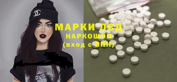 шишки Горнозаводск