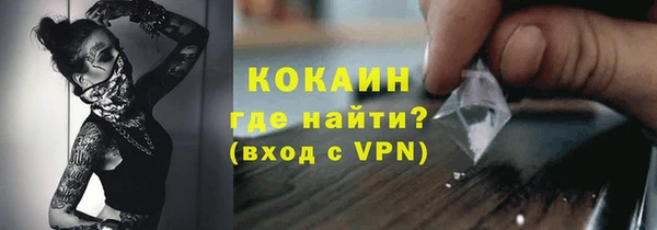 сатива Вязьма