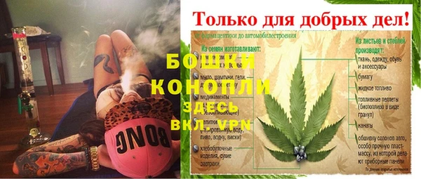сатива Вязьма