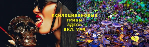 сатива Вязьма
