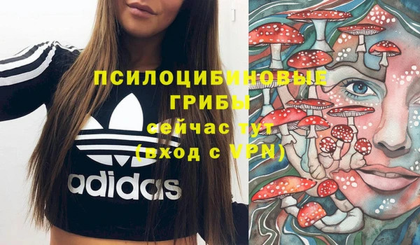 МДПВ Горняк