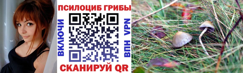 Галлюциногенные грибы Magic Shrooms  продажа наркотиков  Дальнереченск 